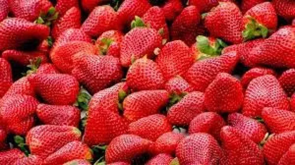 الفراولة المجمدة تتصدر قائمة أهم السلع الغذائية المصدرة