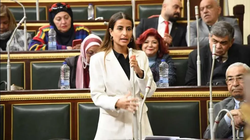 خارجية النواب: إسرائيل تضرب بالقانون الدولي عرض الحائط من جديد بإعلان احتلال غزة
