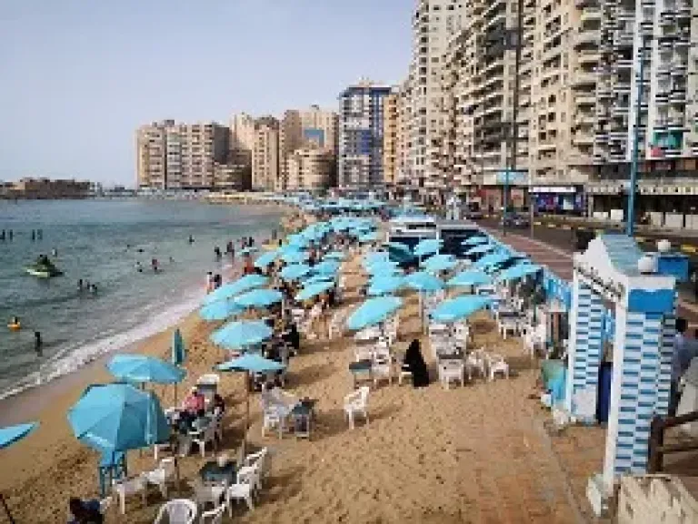 شواطئ الإسكندرية تشهد حالة هدوء واستقرار.. ونسب الإشغال فوق المتوسط
