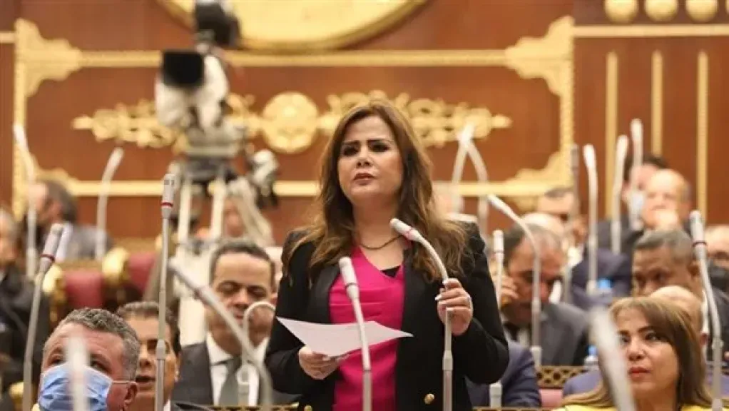 نائبة الشيوخ: مصر تقود تحركًا عربيًا إسلاميًا لوقف العدوان على غزة