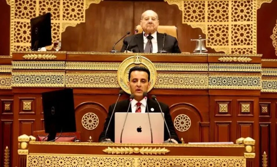 أحمد سمير زكريا: مصر تقود الصف العربى فى مواجهة مخطط الاحتلال للسيطرة على غزة