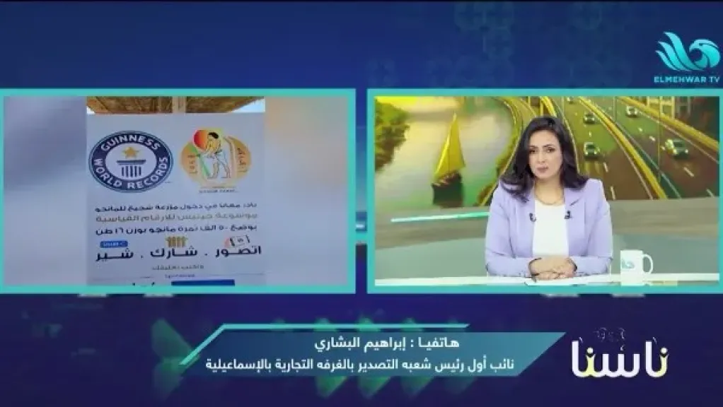 الغرف التجارية: تصدير المانجو المصرية لـ 50 دولة.. والعدد يتزايد