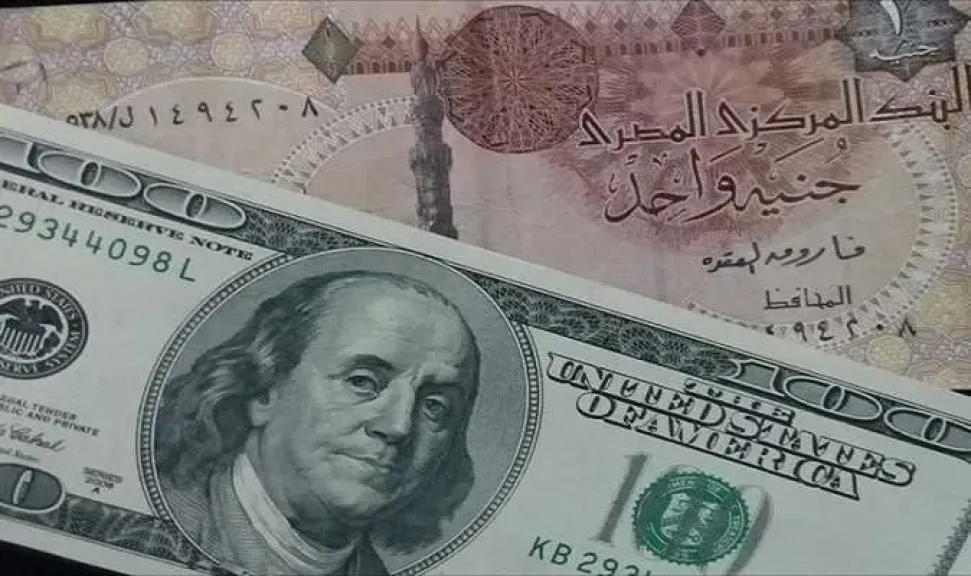 تقرير دولي: الجنيه المصري يحافظ على تنافسيته ويرتفع 5% أمام الدولار منذ بداية 2025