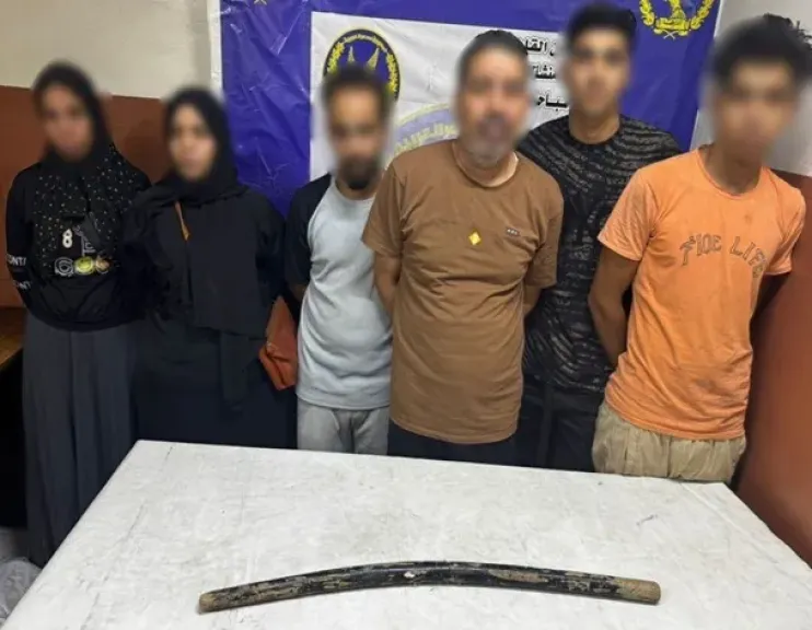 الداخلية تكشف ملابسات فيديو التعدي على سيدة تحمل طفلًا بمنشأة ناصر