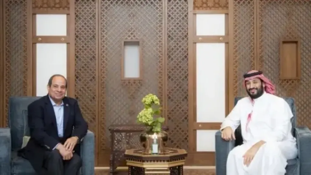 توافق مصري سعودي على رفض وجود الميليشيات المسلحة في الدول العربية
