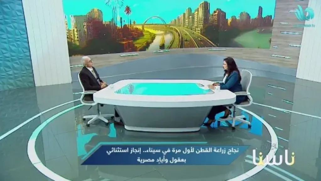 معهد بحوث القطن: نتوسع من أجل زيادة الصادرات.. ولدينا خطة متكاملة