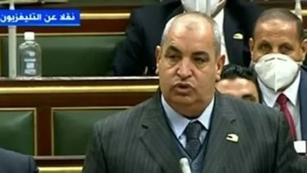 برلماني: مصر تمتلك فرصًا كبيرة لتطوير صناعة الزبيب والكتان