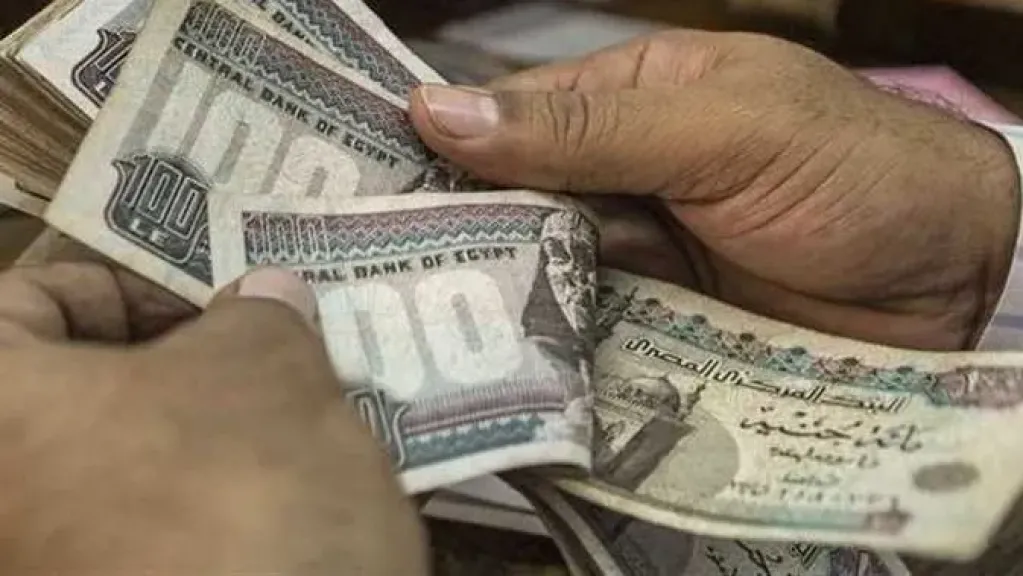 وزارة العمل تعلن عن فرص عمل بعقود رسمية فى إيطاليا.. تفاصيل