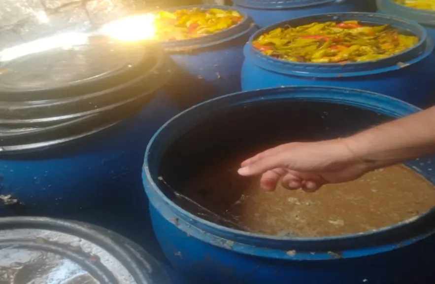 ضبط 6 أطنان مخللات غير صالحة في حملات تموينية بسوهاج