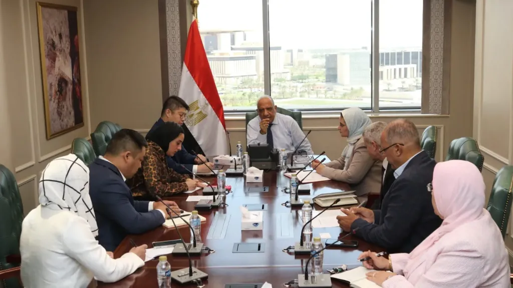 وزير الكهرباء يبحث مع ”صن ريف سولار” الصينية تصنيع الخلايا الشمسية في مصر