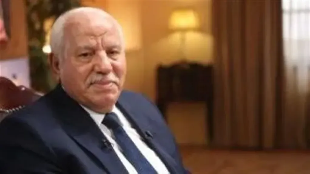 خبير استراتيجي: إسرائيل فشلت عسكريًا.. واستراتيجية التهجير بغزة ”تتعثر”