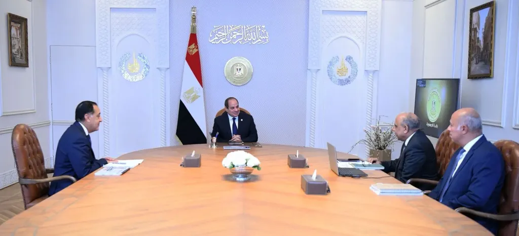 الرئيس السيسي يعقد اجتماعًا لاستعراض موقف دعم وتطوير الشبكة القومية للكهرباء