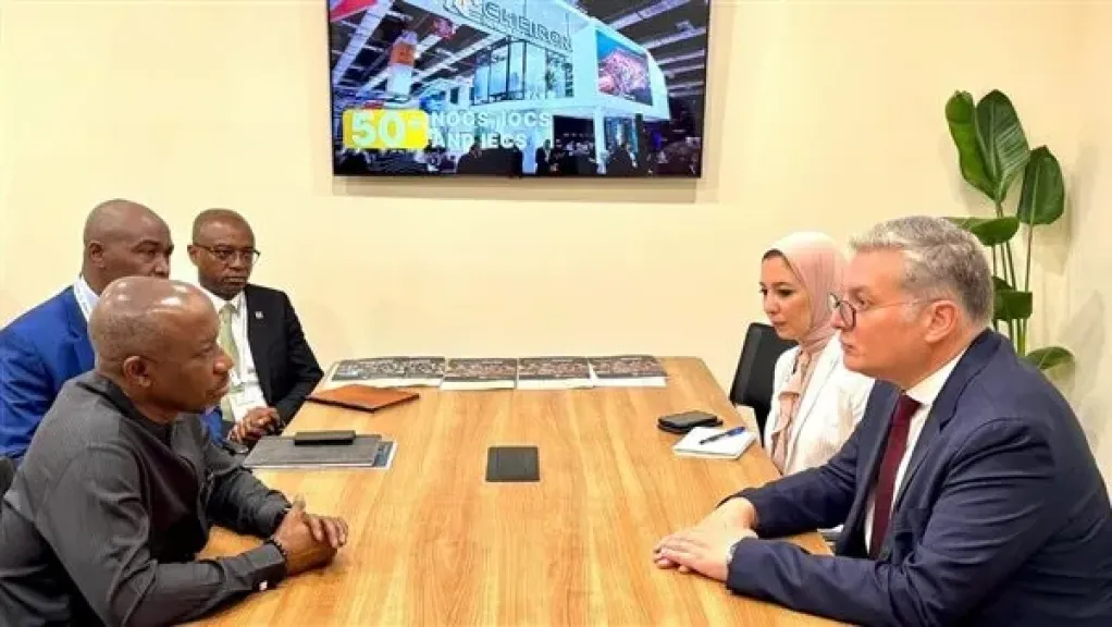 مصر ونيجيريا تبحثان زيادة الاستثمارات المشتركة في الطاقة