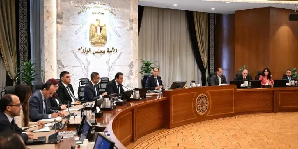 مدبولي يتابع جهود توفير الأدوية والمستلزمات الطبية وإجراءات توطين صناعة الدواء
