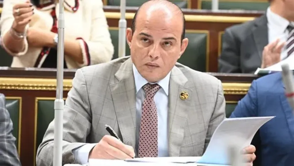برلماني: الحملات الصهيونية ضد الرموز لن تنجح في ضرب التضامن العربي