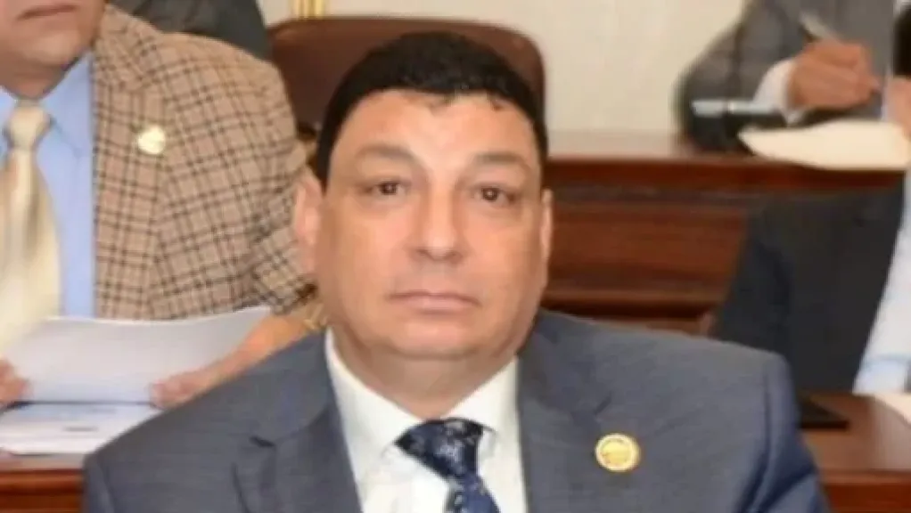 سامي نصر الله: القمة العربية غيّرت الخطاب العربي وأبرزت الموقف المصري