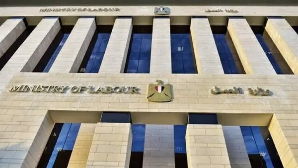 وزارة العمل: فرص عمل في مجالات صناعة الكرتون والشيبسي بالأردن.. رابط التقديم