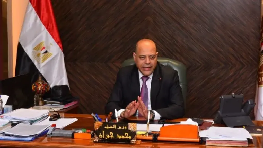 وزير العمل: إنشاء المحاكم العمالية لن يؤثر على مناخ الاستثمار