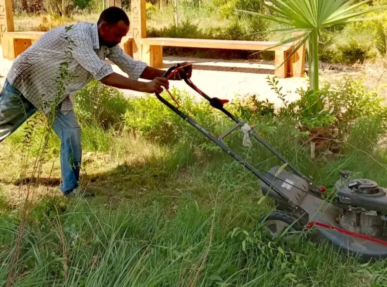 رفع كفاءة المسطحات الخضراء بمنطقة حوض 18 بمدينة الأقصر