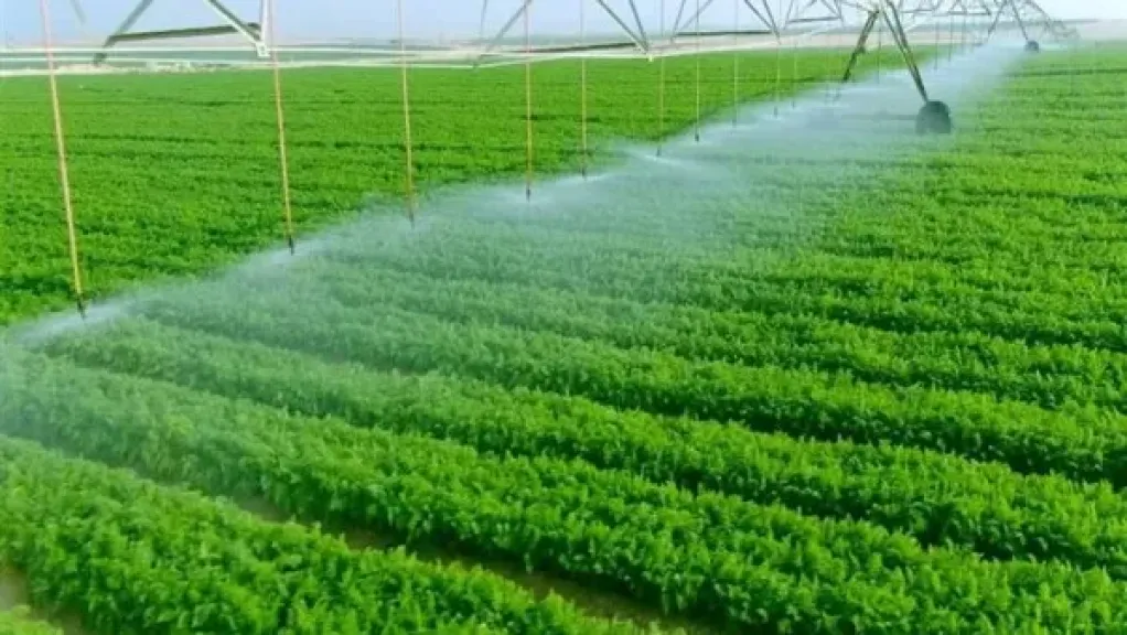 أمن غذائي.. خبير بمركز البحوث الزراعية: مستقبل مصر مشروع الخير لبلادنا
