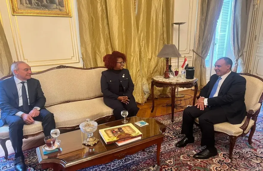 وزير الخارجية يُشيد بدعم الجابون وموريشيوس للمرشح العربي والإفريقي بانتخابات اليونسكو