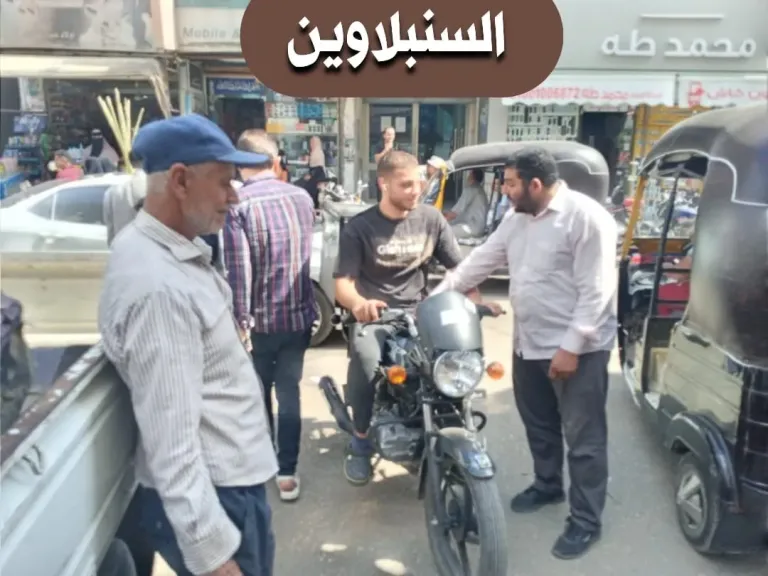 مصادرة 51 قطعة في حملة للتصدي للتلوث السمعي بالسنبلاوين وبلقاس بالدقهلية