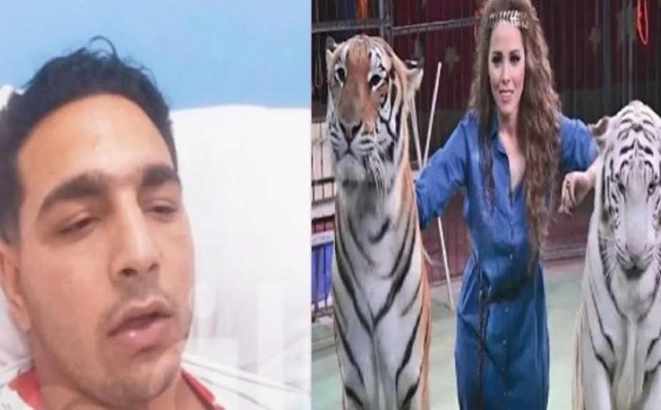 ”النمر مغلطش”.. مدربة أسود تكشف تفاصيل الحادثة الصادمة في سيرك طنطا
