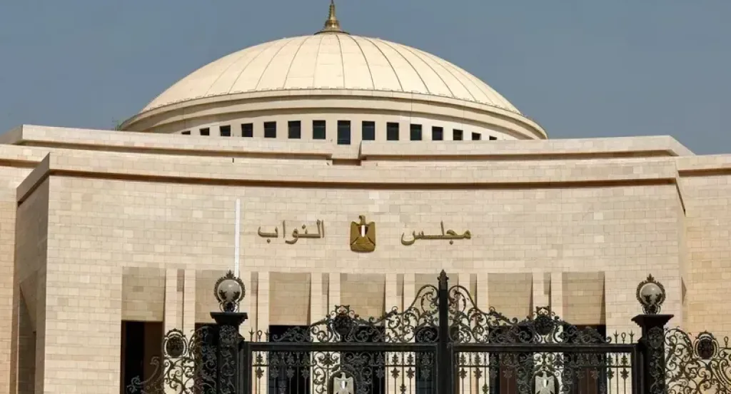 الهيئة الوطنية للانتخابات: إقبال كثيف على غالبية لجان المصريين في اليوم الأول