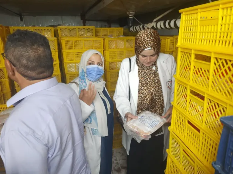 الزراعة: ضبط أكثر من 224 طن لحوم ودواجن وأسماك وتحرير 466 محضرًا