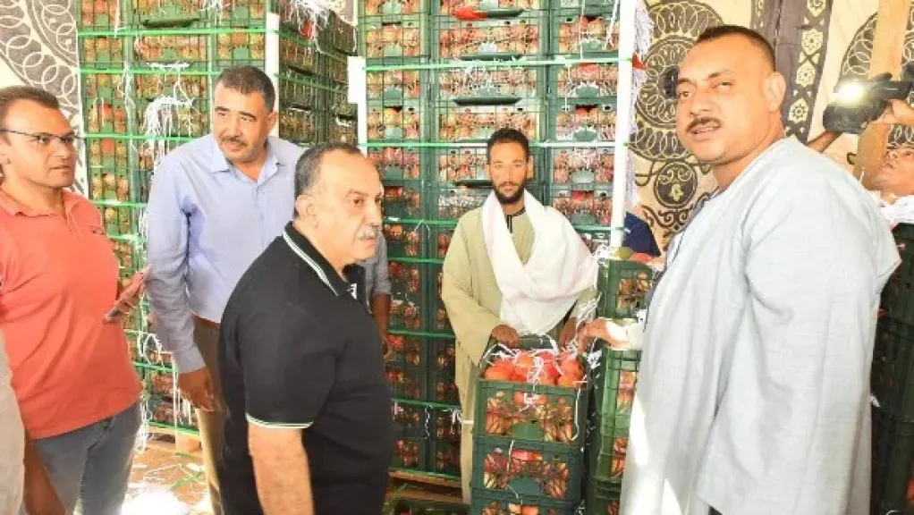 محافظ أسيوط يتابع منظومة تجهيز وتصدير ”الذهب الأحمر” بقرية بويط