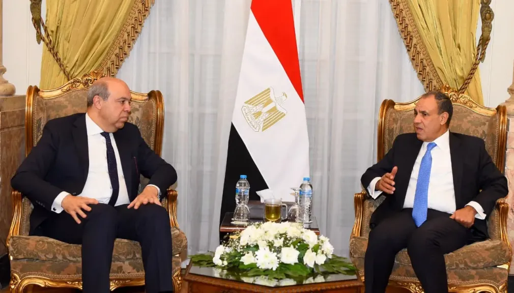 وزير الخارجية يؤكد أهمية استمرار مصر في تقديم الدعم الفني للدول الإفريقية والعربية| صور