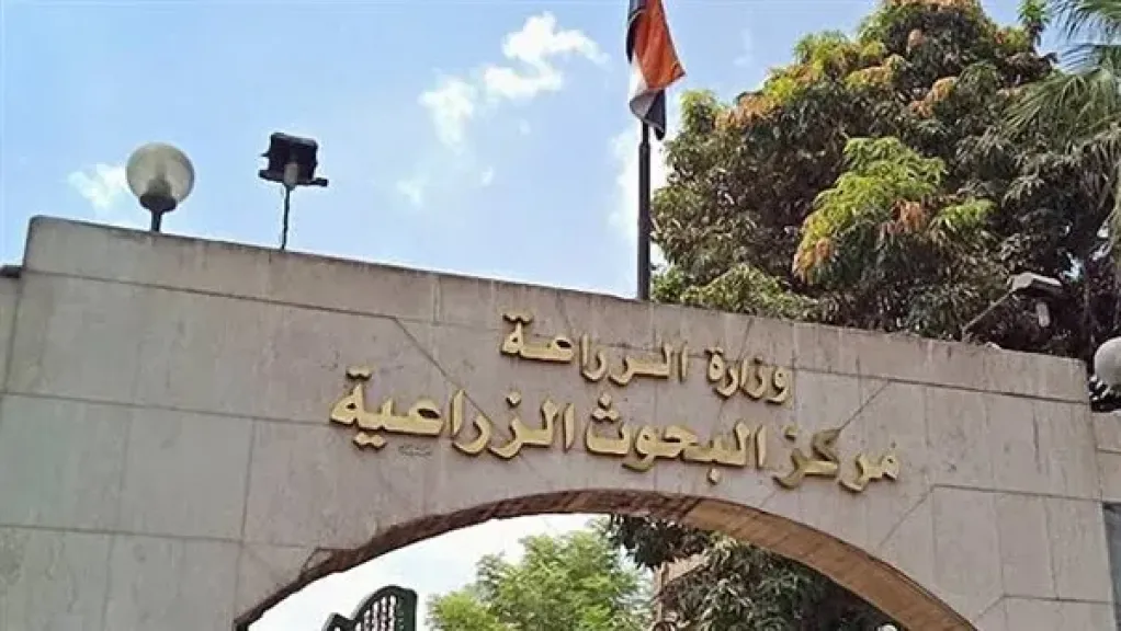 البحوث الزراعية: التراث الزراعي حفظ للغتنا القديمة وشكر لتاريخنا الزراعي العظيم