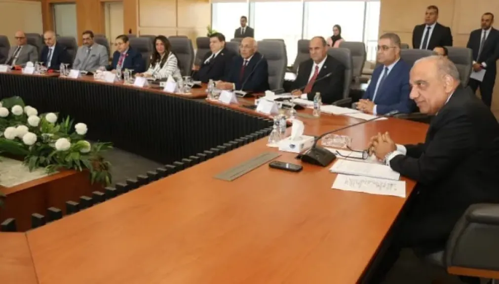 الكهرباء: إقامة بنية مؤسسية قوية لإدارة المشروعات النووية الاستراتيجية