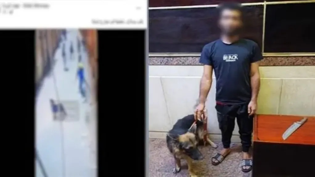 حبس المتهم بواقعة “كلب الجيزة” 4 أيام بتهمة ترويع المواطنين