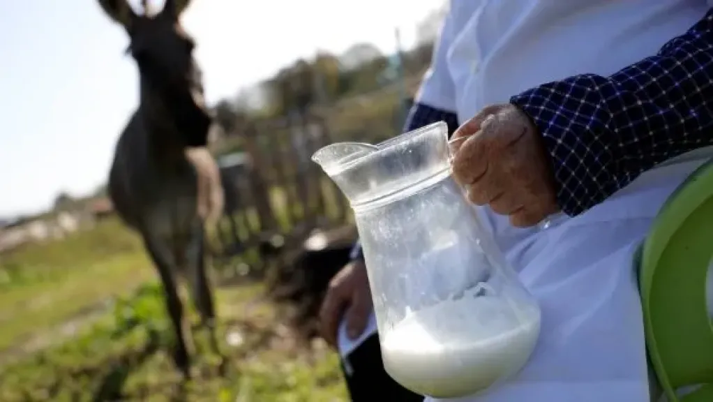 ضبط المتهمين بذبح حمير وإلقاءها بأراض زراعية بالسنطة والنيابة تحقق ضبط المتهمين بذبح حمير وإلقاءها بأراض زراعية بالسنطة والنيابة تحقق