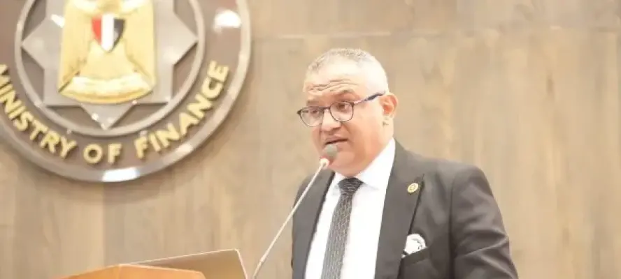 المالية: نعمل على دمج التجارة الإلكترونية بشكل أكبر لتعزيز تنوع الاقتصاد المصري