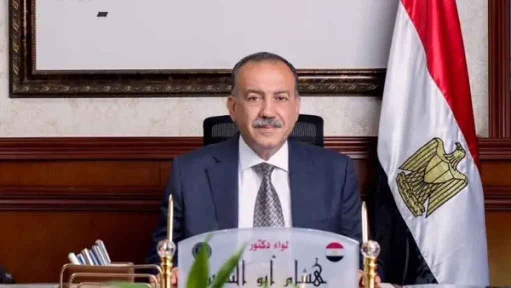 محافظ أسيوط يوجه بتقنين أوضاع الكهرباء وتركيب عدادات لأهالي حوض الربع