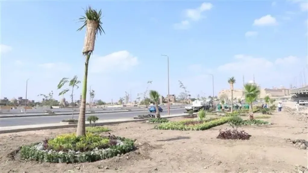 انطلاق المرحلة الرابعة من المبادرة الرئاسية ”100 مليون شجرة” بالفيوم انطلاق المرحلة الرابعة من المبادرة الرئاسية ”100 مليون شجرة” بالفيوم