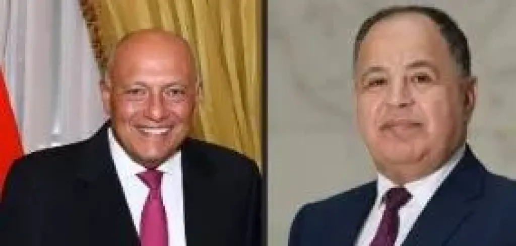 الأوقاف: منح سامح شكري ومحمد معيط وسام الشمس المشرقة من اليابان يعكس مكانة مصر عالميا