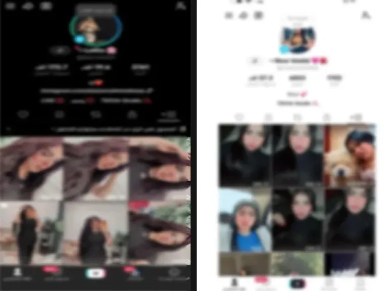 ضبط صانعتي محتوى استغلتا السوشيال ميديا لتحقيق أرباح من مقاطع خادشة