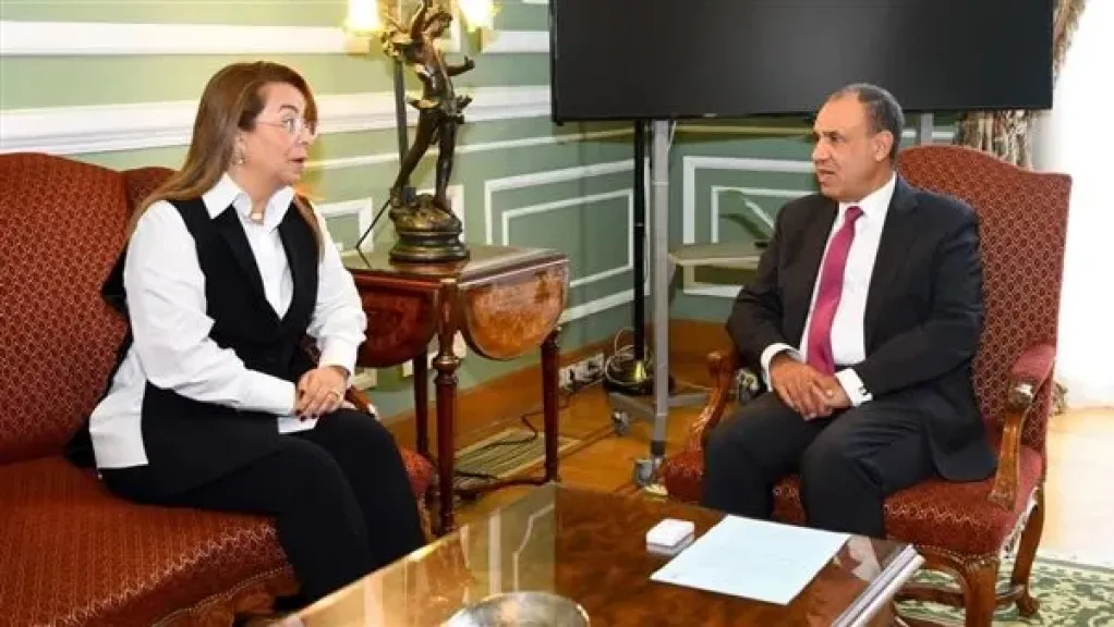 وزير الخارجية يستقبل الدكتورة غادة والي