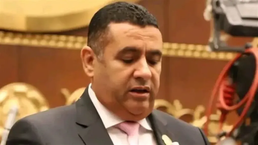 انتخابات النواب 2025| نائب بالشيوخ يدعو المواطنين للمشاركة بقوة في المرحلة الثانية