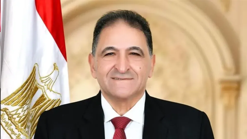 برلماني: المشاركة الواسعة في الانتخابات تعكس حرص الشعب على مستقبل الوطن