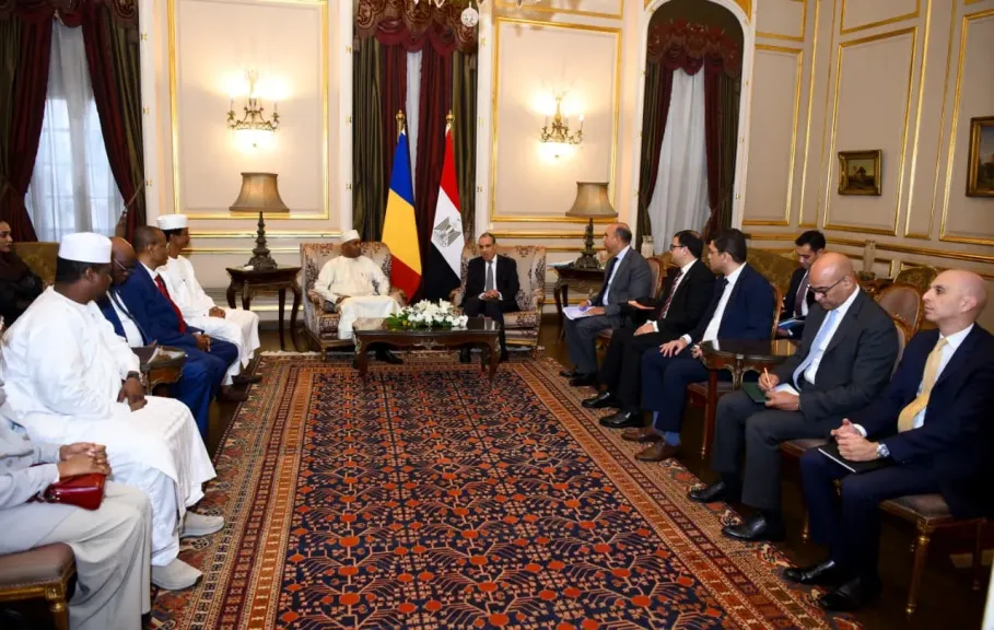 وزير الخارجية يبحث مع نظيره التشادي سبل تعزيز العلاقات الثنائية.. صور