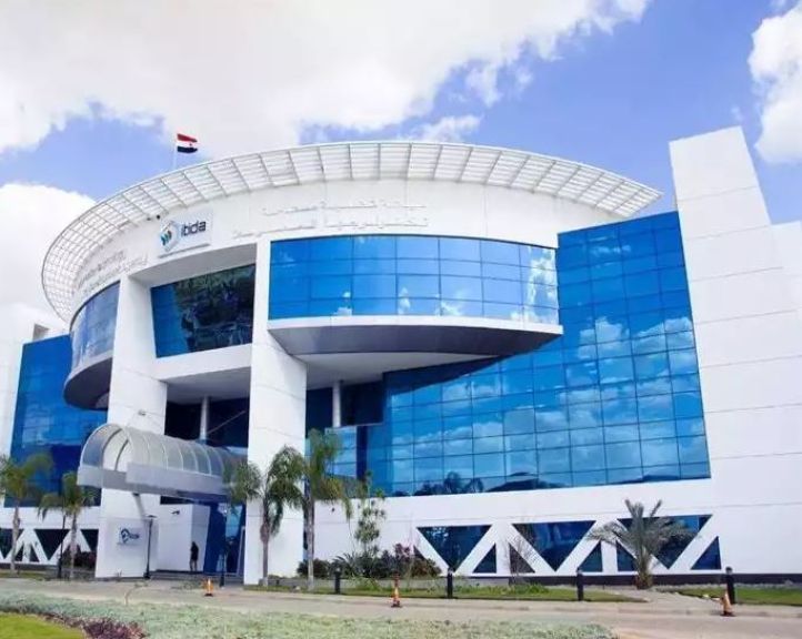 أحد خريجي ”ITIDA Gigs”: حققت 1000 دولار من الأعمال الرقمية بفضل مهارات المبادرة