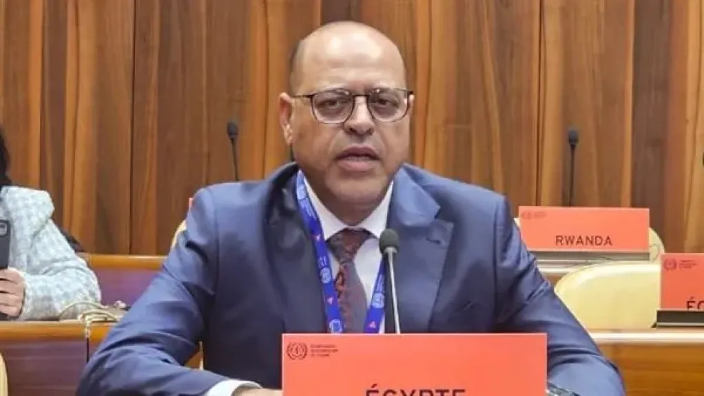 وزير العمل يشارك في اجتماعات مجلس إدارة منظمة العمل الدولية بجنيف