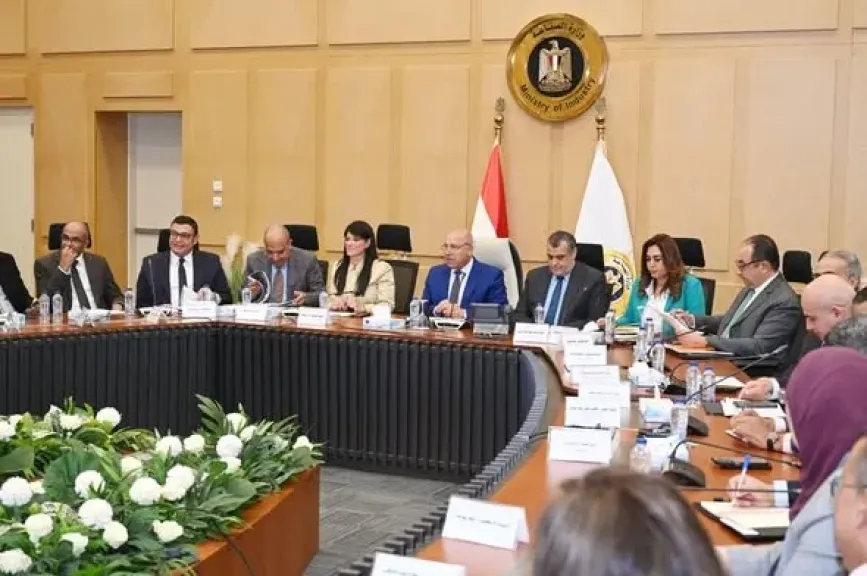 وزارة الصناعة: توفير الطاقة لـ7 شركات صناعية في المنطقة الاقتصادية لقناة السويس