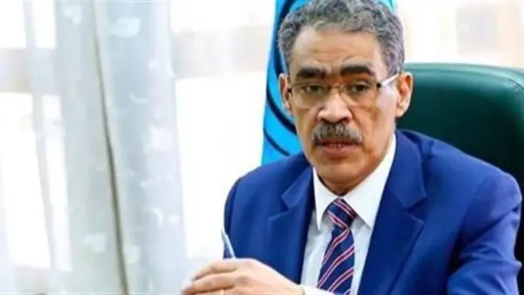 ضياء رشوان: وجود قوة دولية لحفظ الاستقرار بغزة يضمن عدم تكرار العدوان