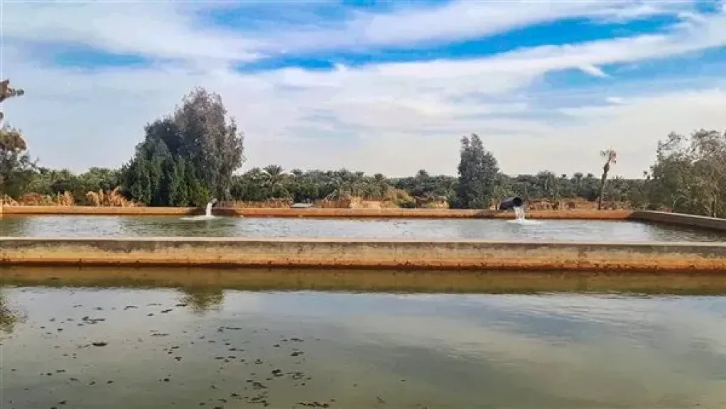 الري تستعرض موقف ”مشروع تطوير منظومة الري والصرف للحفاظ علي التوازن البيئي بواحه سيوة”