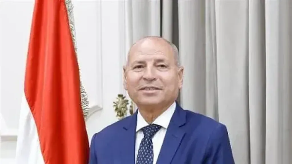 القاهرة تخصص أرضًا لإنشاء شلتر حديث لإيواء الكلاب الضالة